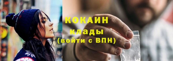 прущий лед Алзамай
